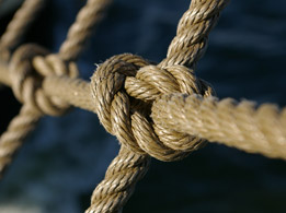 Knoten Colaboradores